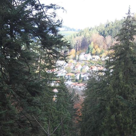Relaxapartments Black Forest Diamond Direkt An Der Hornberger Freilichtbuehne - Sonnenterrasse Mit Blick Auf Das Hornberger Schloss, Schnelles Internet, Fuer Bis Zu 2 Personen Exterior foto