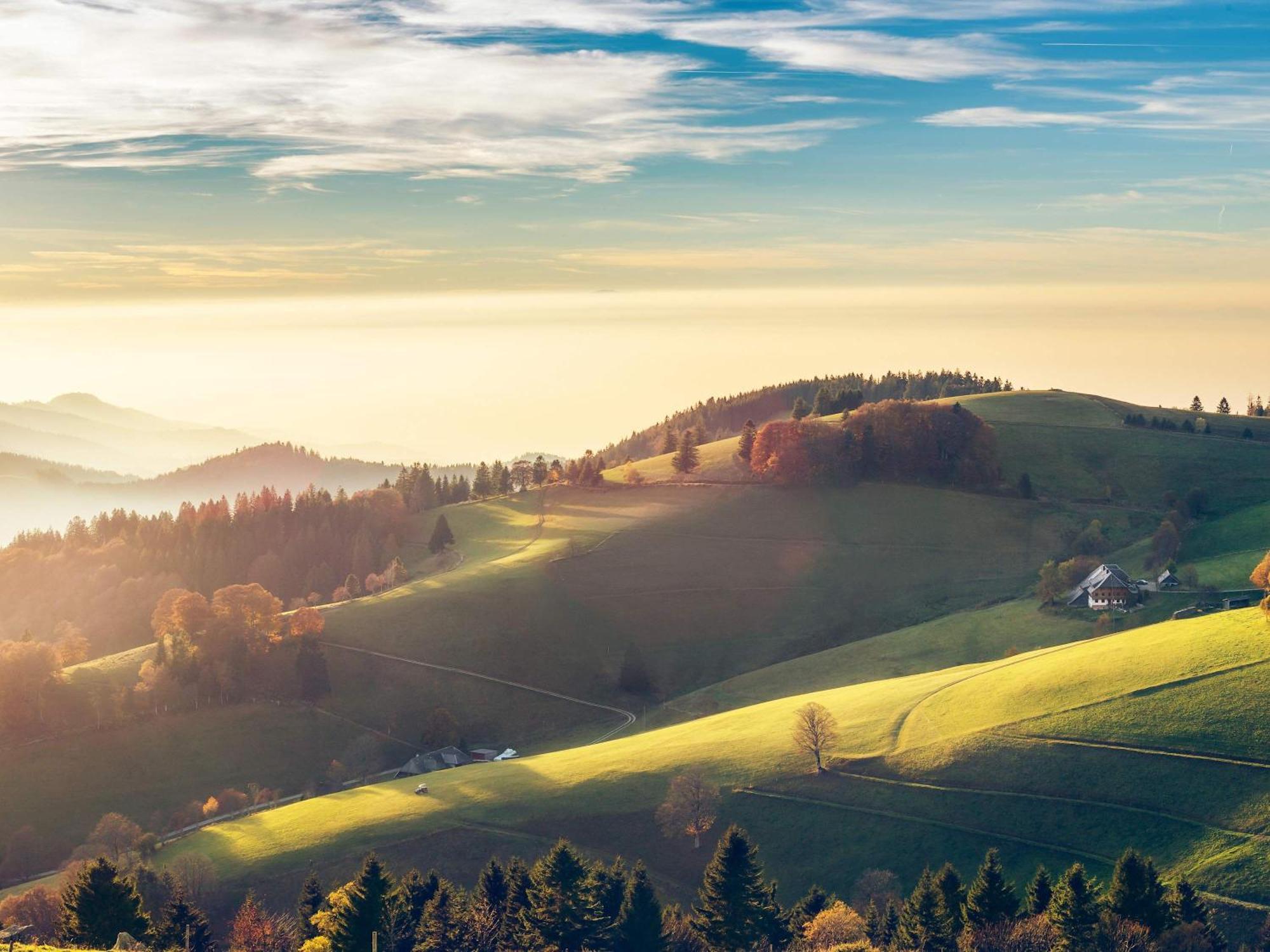 Relaxapartments Black Forest Diamond Direkt An Der Hornberger Freilichtbuehne - Sonnenterrasse Mit Blick Auf Das Hornberger Schloss, Schnelles Internet, Fuer Bis Zu 2 Personen Exterior foto